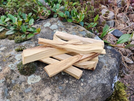 Palo Santo 